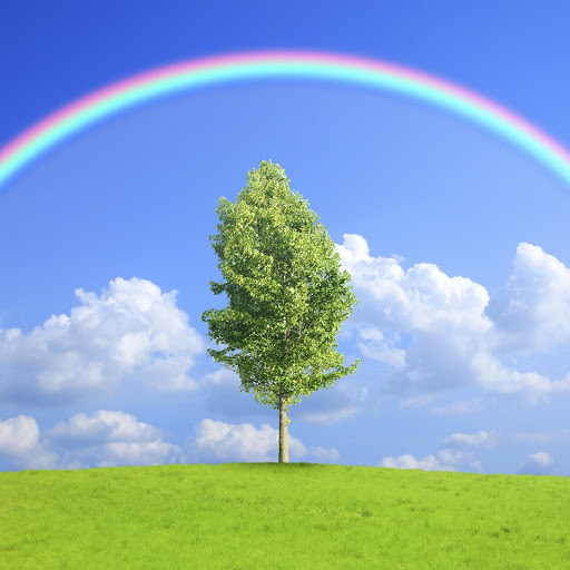 Hd-186227-ascw186227