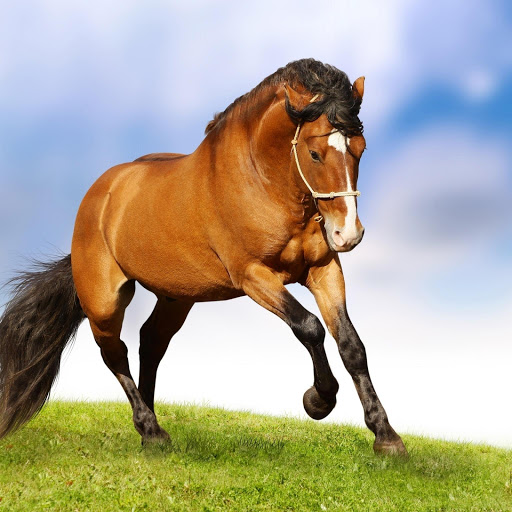 Hd-177848-ascw177848