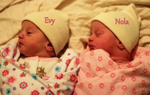 twins newborn pic