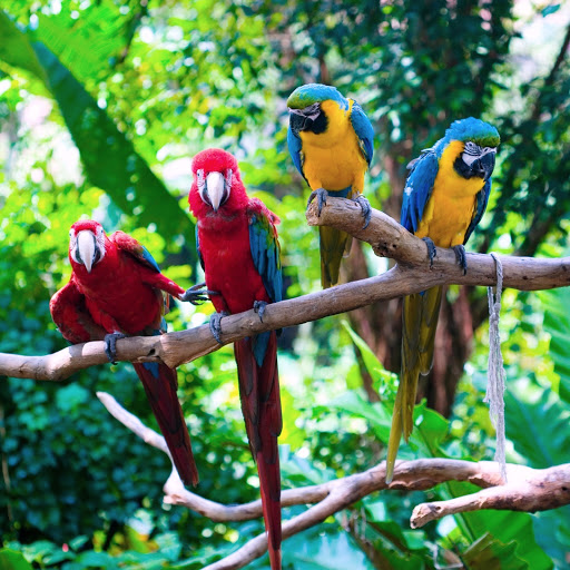 Hd-158580-ascw158580