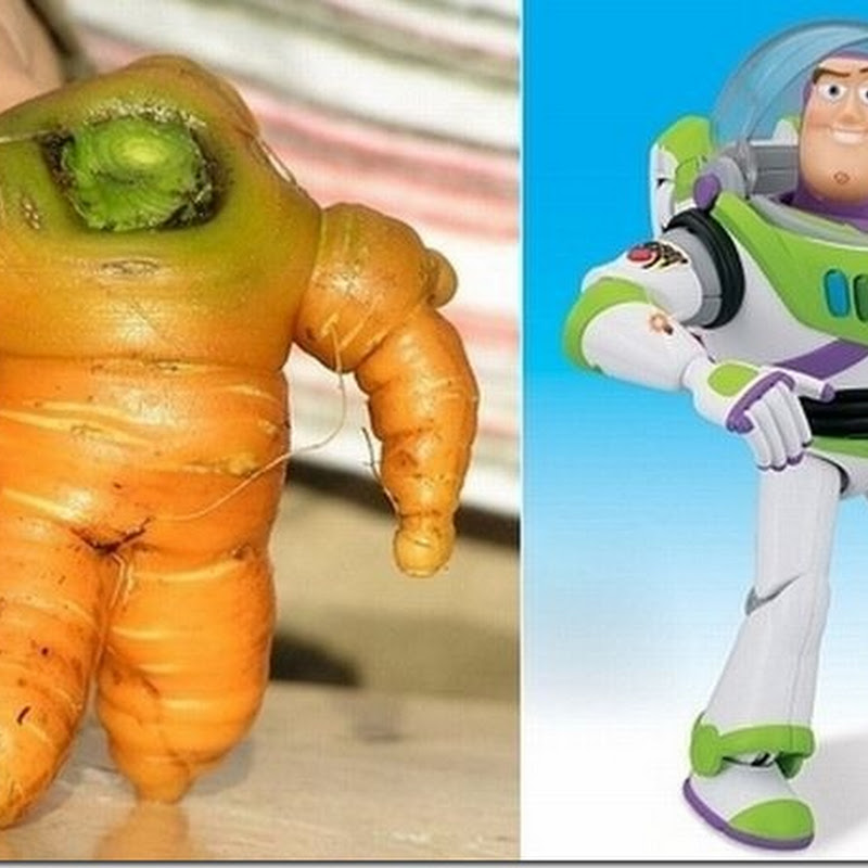 Fotos divertidas, imágenes graciosas