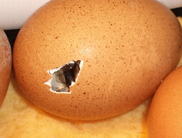 [image%255B30%255D.gif]