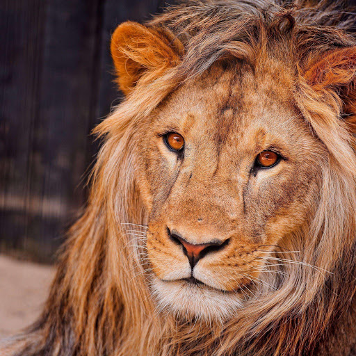 Hd-174802-ascw174802