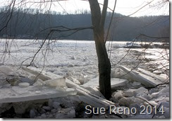 Susquehann River ice jam, by Sue Reno, Image 4