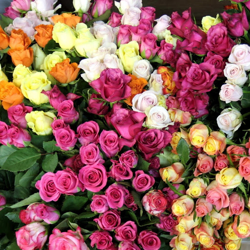 Hd-144306-ascw144306