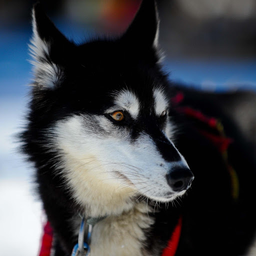 Hd-137346-ascw137346