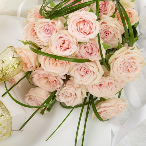 Hd-171074-ascw171074