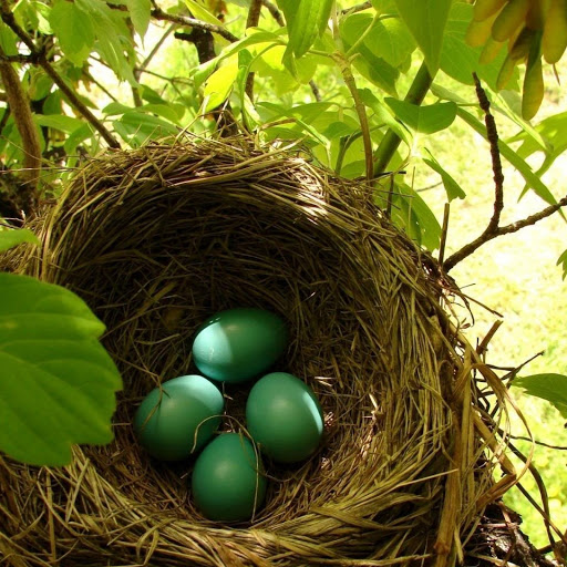 Hd-143752-ascw143752