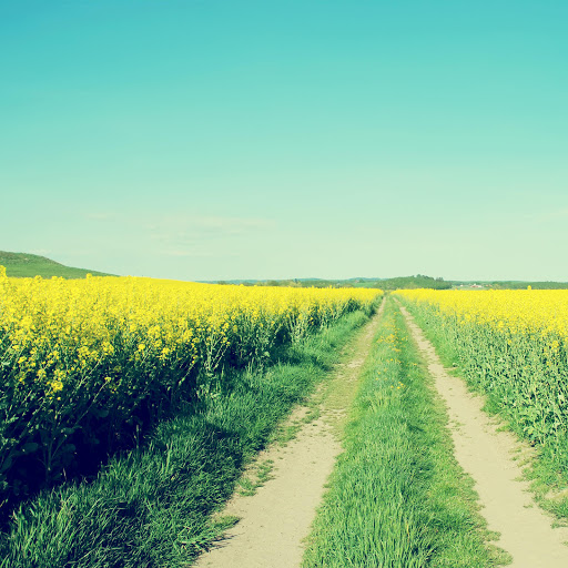 Hd-154187-ascw154187