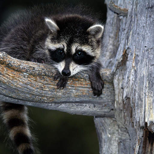 Hd-169475-ascw169475