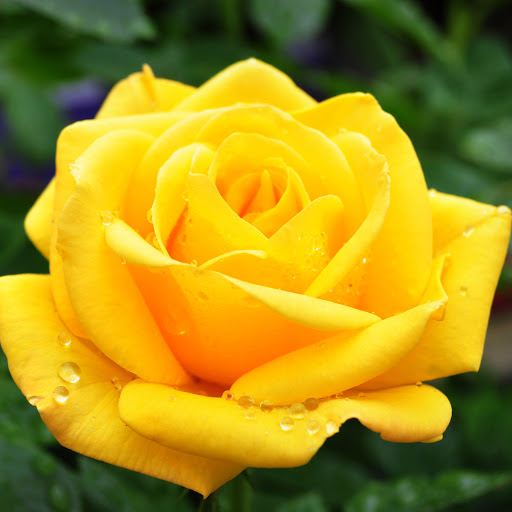 Hd-166041-ascw166041