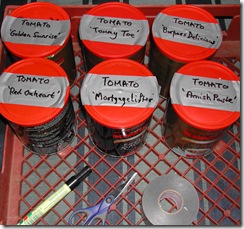 Seed tins (old coffee containers) are labelled with a permanent black text-pen on removable duct-tape stuck on the lid and dated 7/11 for July 2011