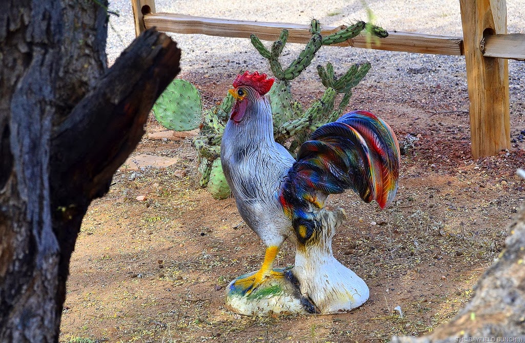 [DSC_0028%255B3%255D.jpg]