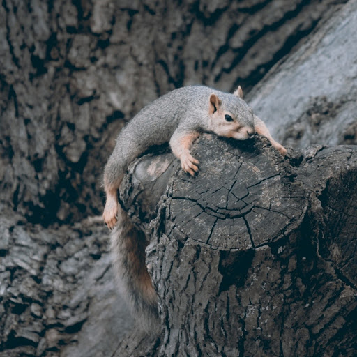 Hd-180142-ascw180142