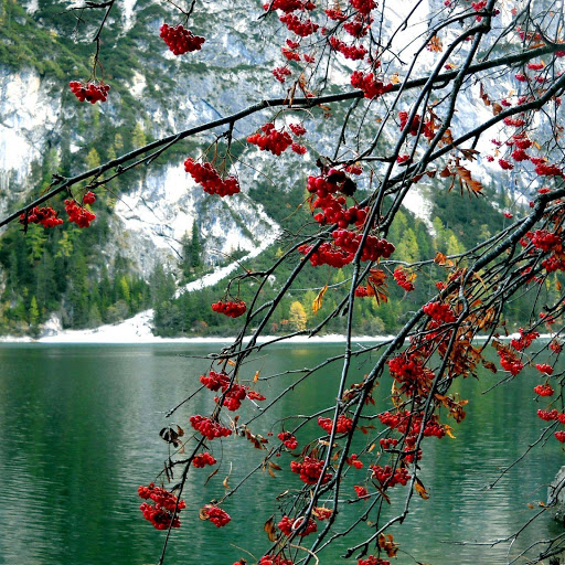 Hd-153038-ascw153038