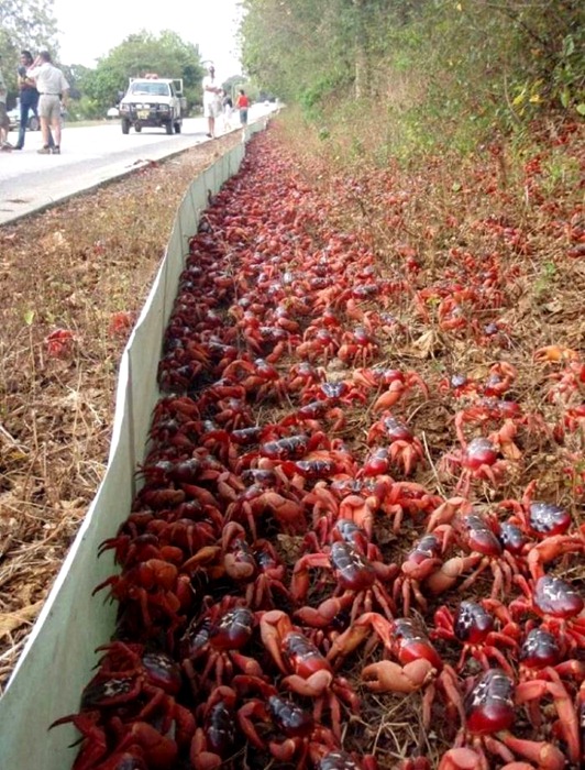 [1318289515_rojdest_08%255B6%255D.jpg]