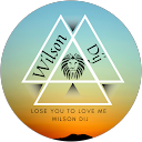 Image Google de Wilsondij