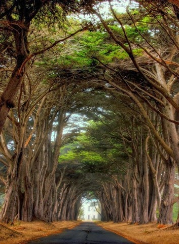 [Point-Reyes-National-Seashore-California-1%255B3%255D.jpg]