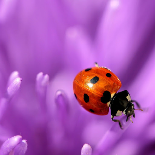 Hd-164940-ascw164940