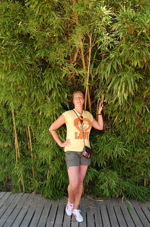 [DSC_0489%2520%25282%2529%255B3%255D.jpg]