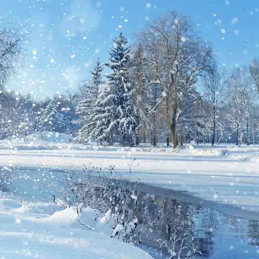 Hd-155659-ascw155659