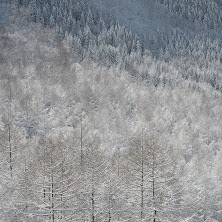 009.jpg