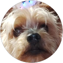 Image Google de Chantal
