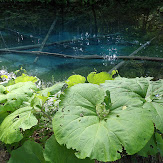 pentax-xg1-review.jpg