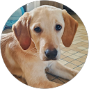 Image Google de morgan coupin