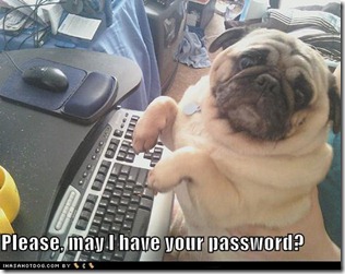 funny-dog-pictures-please-may-i-have-your-password