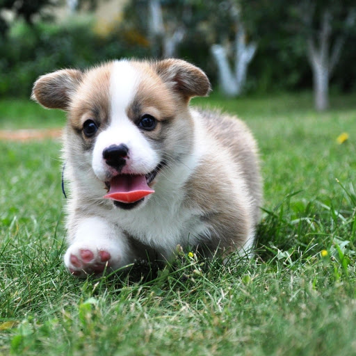 Hd-159452-ascw159452