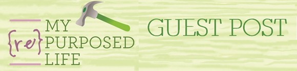 guest post banner 1 guest post banner 1