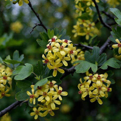 Hd-174303-ascw174303