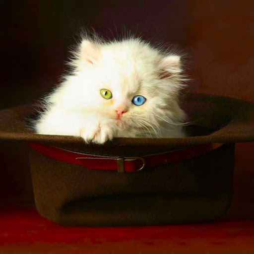 Hd-176093-ascw176093