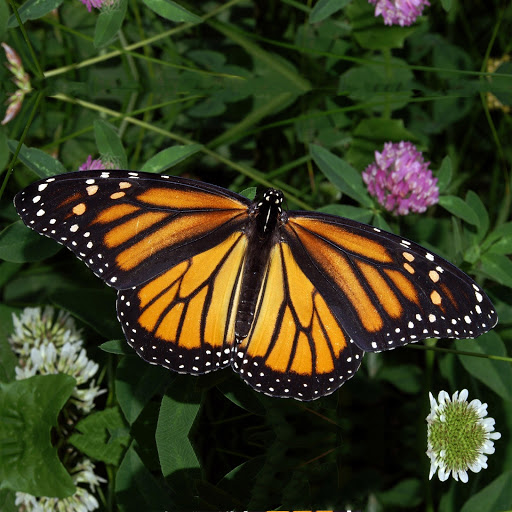 Hd-173568-ascw173568