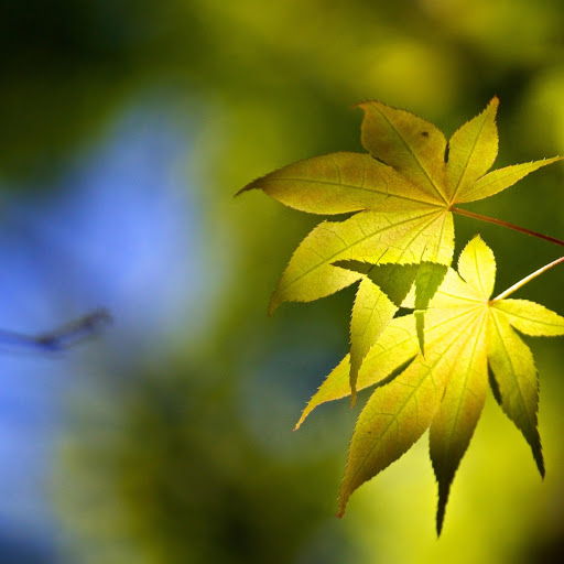 Hd-163730-ascw163730