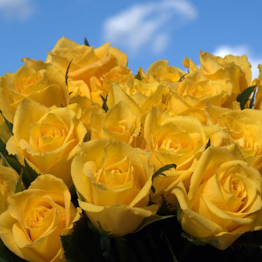 Hd-148287-ascw148287