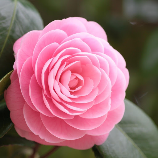 Hd-177044-ascw177044