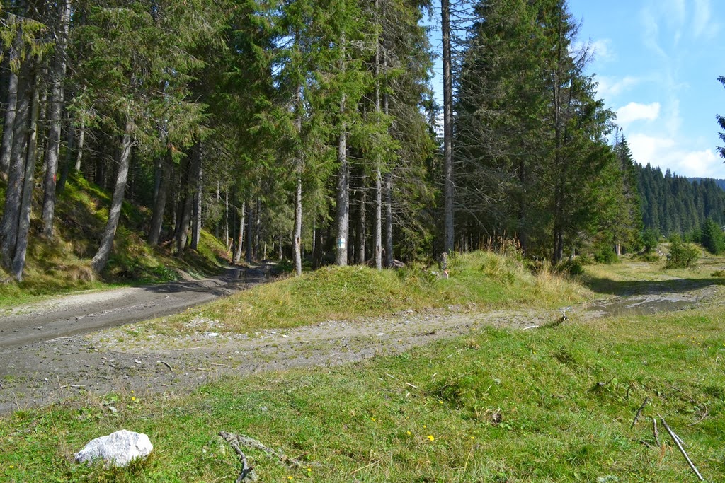 [DSC_00313.jpg]