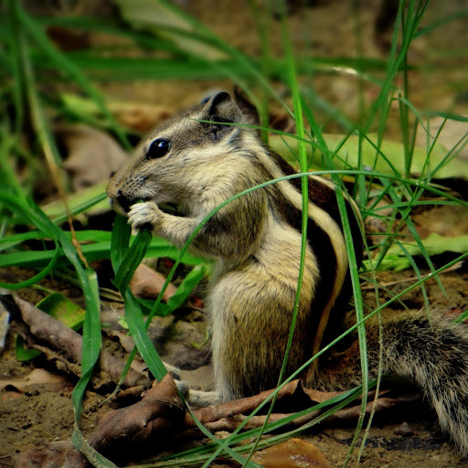 Hd-178074-ascw178074