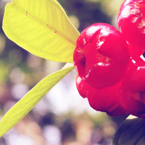 Hd-147238-ascw147238