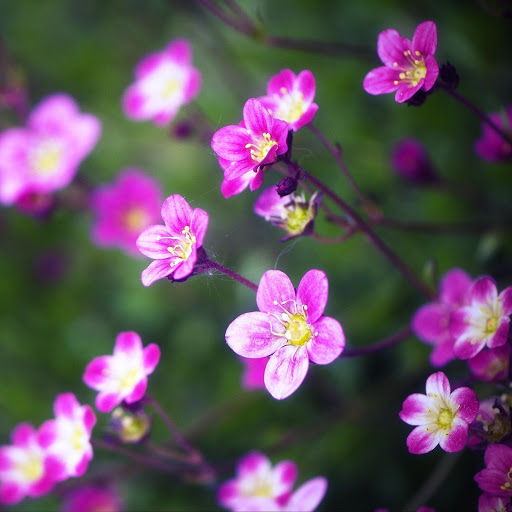 Hd-151968-ascw151968