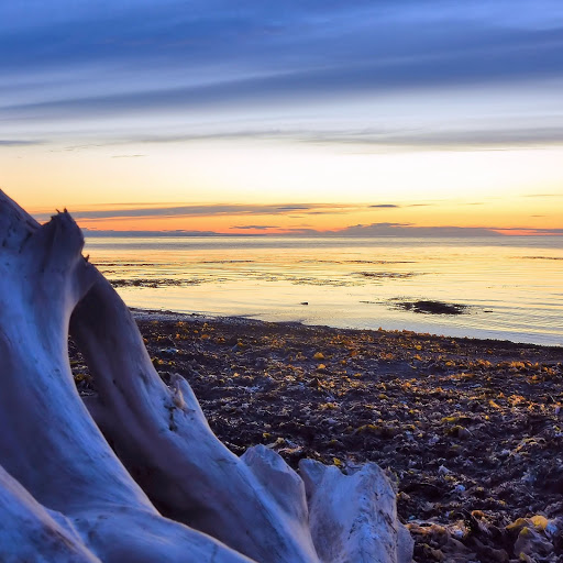 Hd-165438-ascw165438