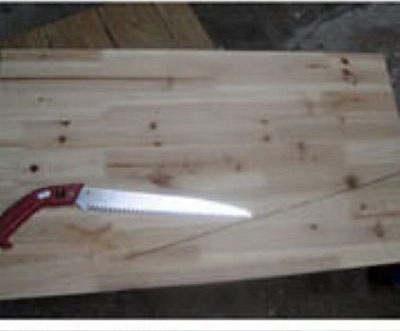 [Gallery4134_1%255B5%255D.jpg]