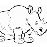 rhinoceros-12751.jpg