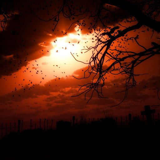 Hd-131114-ascw131114