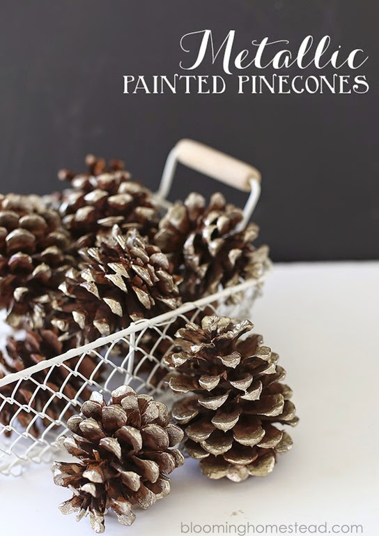 [Metallic-Painted-Pinecones-DIY.jpg]