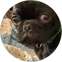 Jonathan P.,CanaGuide