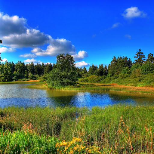 Hd-152717-ascw152717