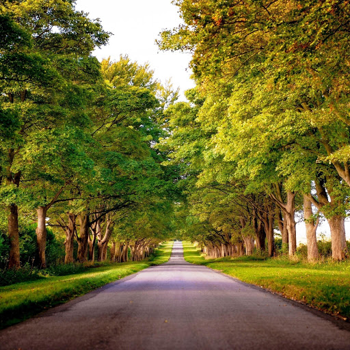 Hd-142040-ascw142040